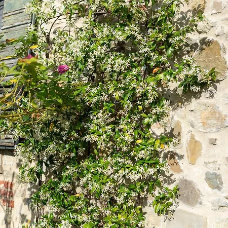 Ca Pradella - Harmony And Nature,