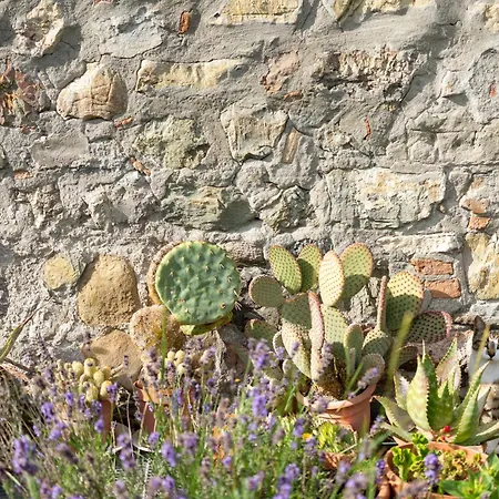 Ca Pradella - Harmony And Nature, * Monterenzio
