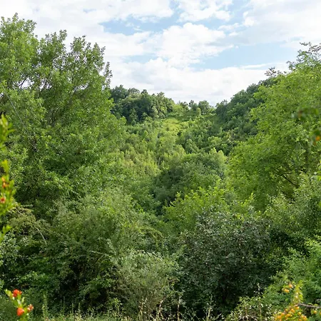 Ca Pradella - Harmony And Nature,