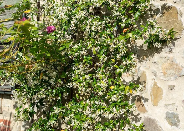 Ca Pradella - Harmony And Nature,