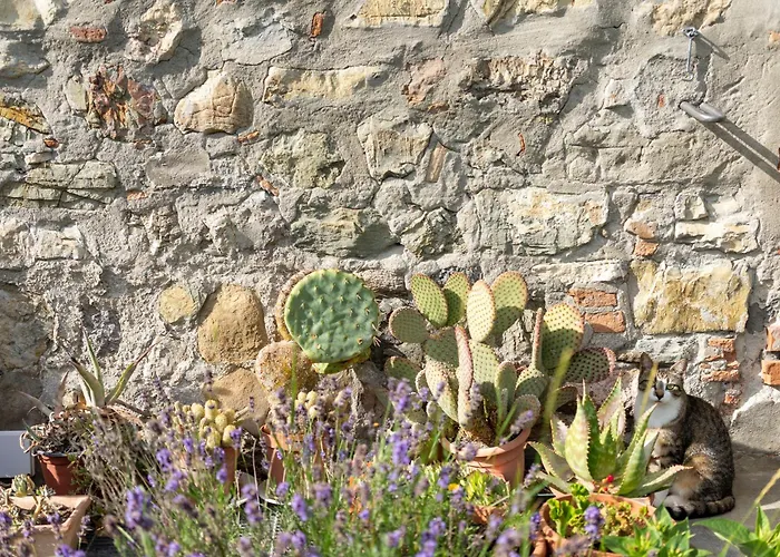Ca Pradella - Harmony And Nature, * Monterenzio