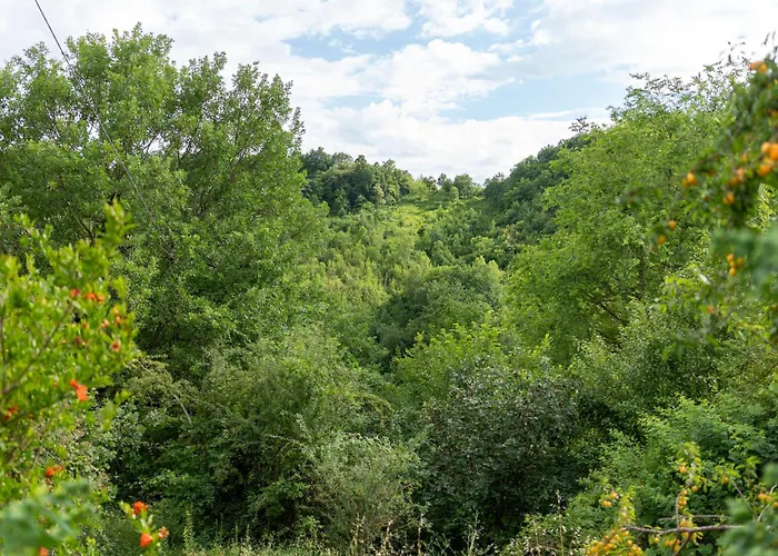 Ca Pradella - Harmony And Nature,